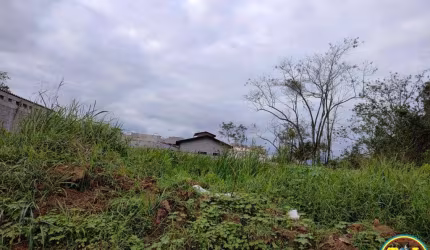 Terreno para Venda em Caraguatatuba, MASSAGUAÇU