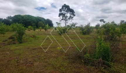 Chácara Seca com 2 casas  2.200m do Rio Tibagi