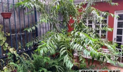 Casa na Vila Olímpia com 3 dormitórios e 2 vagas