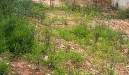 Terreno à venda, 400 m² por R$ 1.250.000 - Campo Belo - ZM