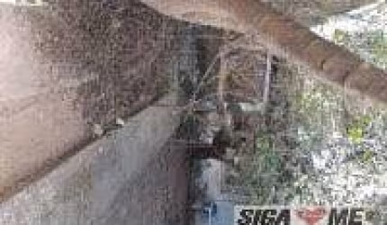 Casa comercial ou residencial - Campo Belo