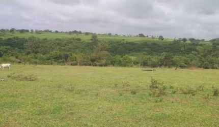 Sitio a venda com 2 alqueires e meio,em Guaianazes (Município de Pederneiras )