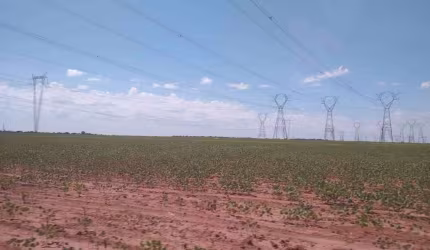 Venda: Excelente Fazenda no Estado de Minas Gerais