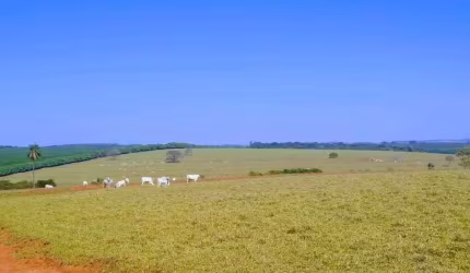 Òtima Fazenda a Venda na Região Duartina/Avaí