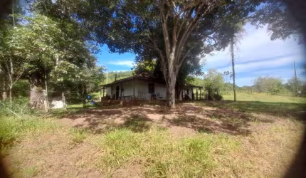 Sítio à venda com 6 Alqueires, Avaí, SP