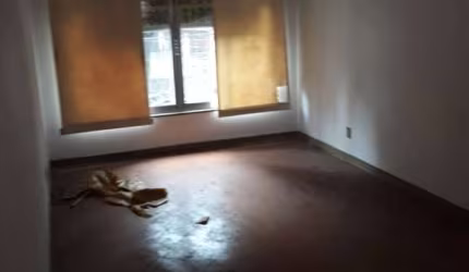 Casa sobrado  ( Comercial na Av Pompéia com dois dormitórios uma sala, cozinha quintal mais edícula.