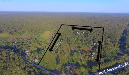 Área à venda, 186517 m² por R$ 2.500.000,00 - Colonia Maria Luiza - Paranaguá/PR
