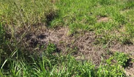 TERRENO A VENDA NO CENTRO DE RIO DAS OSTRAS.