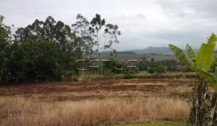 Terreno em condomínio à venda - Recanto Fazenda da Nata, Londrina