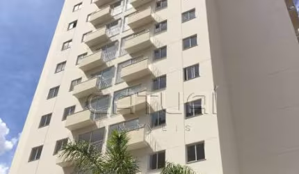 Apartamento para locação - Edifício Jardim de Ester - Vila Brasil, Londrina