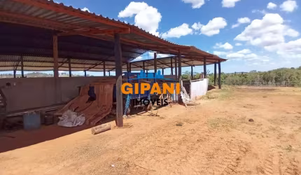 Ótimo Sítio à Venda em Santo Antonio de Posse