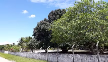 REF: TER010 - Granja à Venda, João Pessoa, Mumbaba, 2 hect., Casa c/ 3 quartos