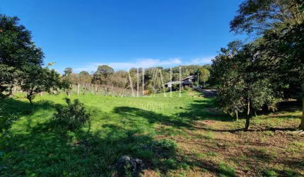 Travessão Tirolez - Galópolis