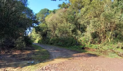 Terreno em São Francisco de Paula