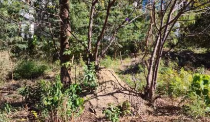 Terreno à venda na Rua Maria Mafalda, Eldorado, Contagem por R$ 460.000