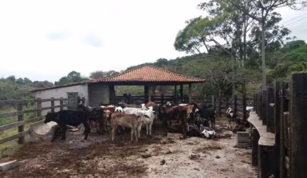 Fazenda à venda na Izaltino de Aguiar, Área Rural de Pará de Minas, Pará de Minas por R$ 1.500.000