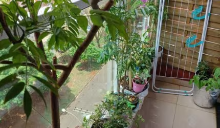 APARTAMENTO NOVA ALIANÇA