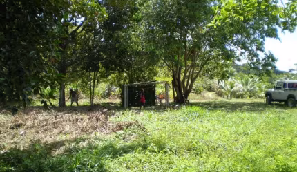 linda fazenda de 230 hectares
