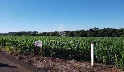 Área na Av. Felipe Wandscheer com 10.649 m2 - com mata e riacho - 15 min do Centro.