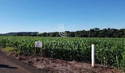 Área na Av. Felipe Wandscheer com 10.649 m2 - com mata e riacho - 15 min do Centro.