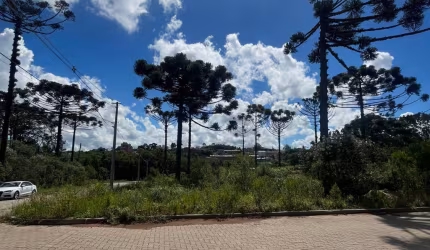 Excelente Terreno de Esquina em Ana Rech - Villa Di Mantova