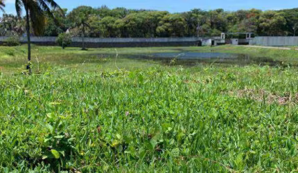 Terreno à venda, 512 m² por R$ 5.120.000,00 - Praia da Costa - Vila Velha/ES