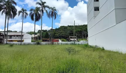 Lote / Terreno - São Pedro