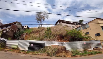 Lote / Terreno - São Pedro
