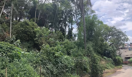 Lote / Terreno - São Pedro