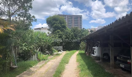 Lote / Terreno - São Pedro