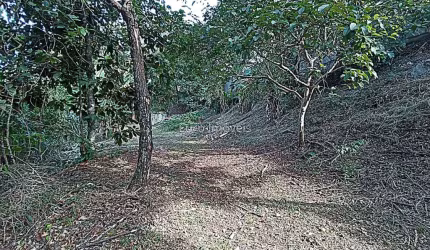 Lote / Terreno - Aeroporto