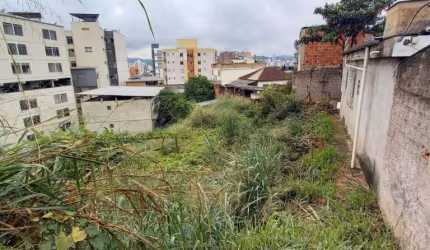 Lote / Terreno - Paineiras