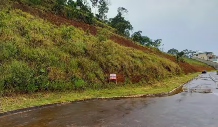 Lote / Terreno - Novo Horizonte
