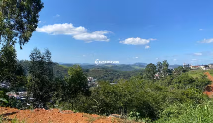 Lote / Terreno - São Pedro