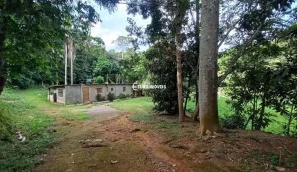 Lote / Terreno - São Pedro