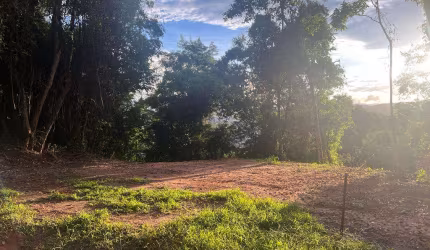 Lote / Terreno - Tiguera