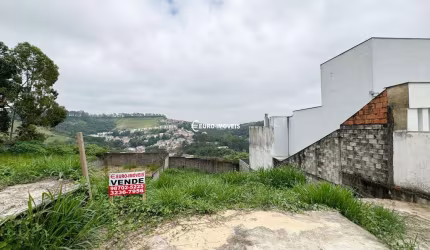 Lote / Terreno - São Pedro