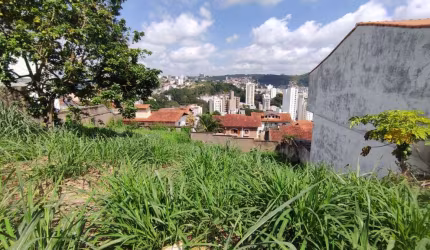 Lote / Terreno - Cidade Jardim