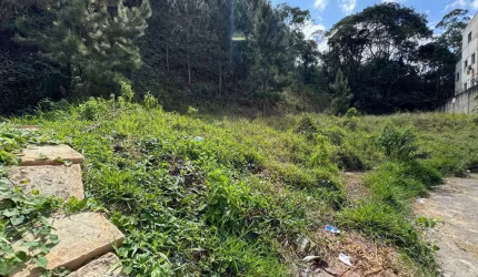 Lote / Terreno - São Pedro
