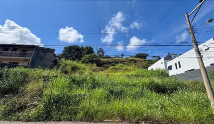 Lote / Terreno - Parque Jardim da Serra