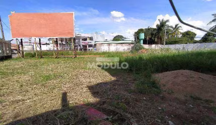 Terreno para locação no Bairro Martins