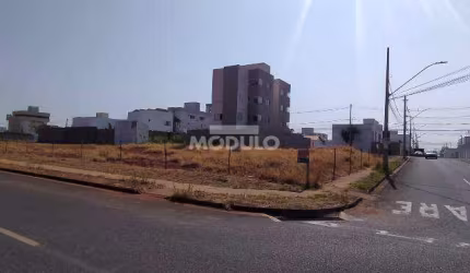 Área Comercial para Locação Bairro Novo Mundo