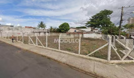 Àrea Comercial para alugar no Bairro Umuarama