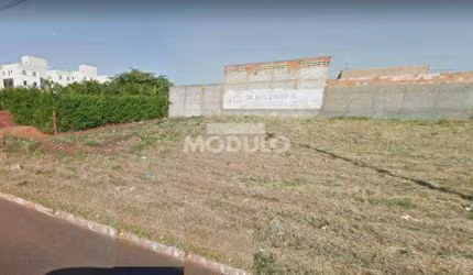 Área para locação Bairro Laranjeiras