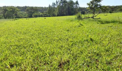 CHÁCARA à venda, 2 quartos, 1 vaga, Mansour - Uberlândia/MG