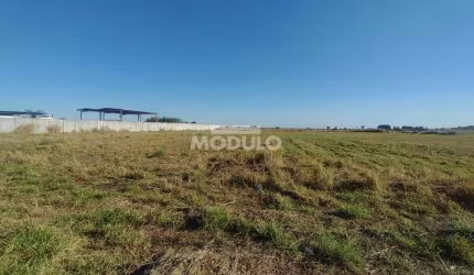 Área Comercial/Industrial para locação Bairro Centro empresarial Leste