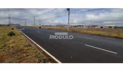 Terreno comercial para locação no Bairro Lago Azul