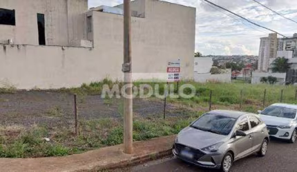Terreno para locação Bairro Patrimônio