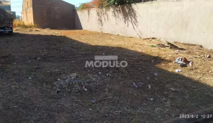 Excelente Terreno de 300 M Novo Mundo