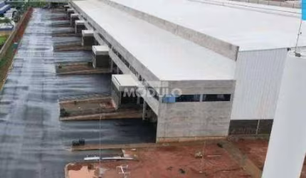 Armazém comercial para locação, bairro Novo Mundo